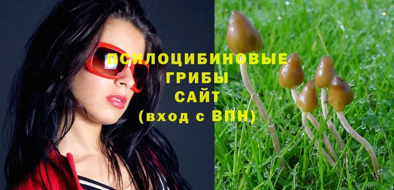 даркнет сайт  кракен tor  Галлюциногенные грибы Magic Shrooms  Ардон 